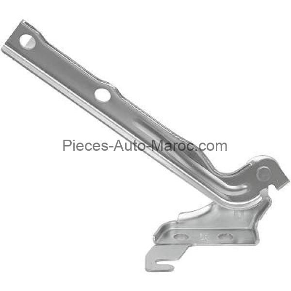 CHARNIÈRE CAPOT COTÉ DROIT VOLKSWAGEN TIGUAN MAROC