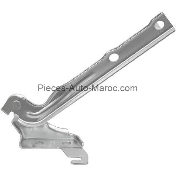 CHARNIÈRE CAPOT COTÉ GAUCHE VOLKSWAGEN TIGUAN MAROC