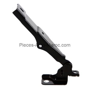 Charnière Capot Gauche CITROEN C3 Maroc