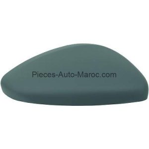 Coque Rétroviseur Droit à Peindre Pour Citroen C3 Maroc