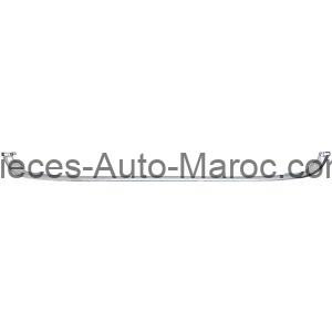 Cadre de Grille Inférieur Pare Chocs Avant FIAT 500 07-15 Maroc
